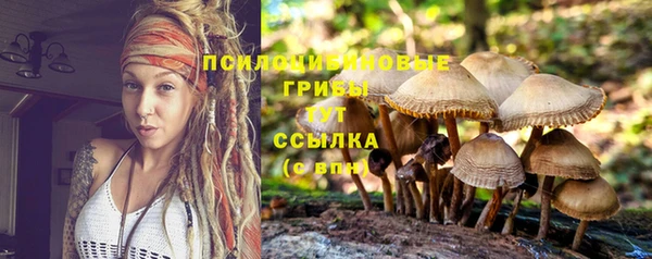 таблы Арсеньев