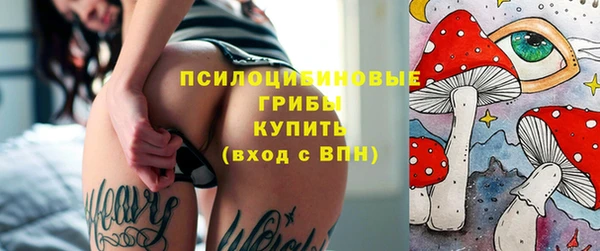 гидра Аркадак